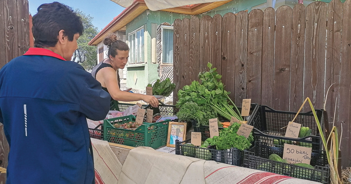 Összetett követelményrendszer